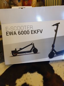 E Scooter 1.jpg